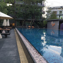 фото из отзыва ID 1723170