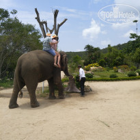 фото из отзыва ID 1723189