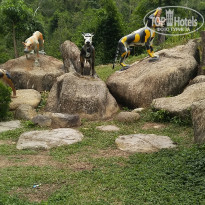 фото из отзыва ID 1723189