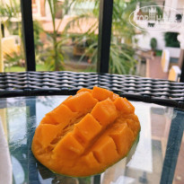 фото из отзыва ID 1723223