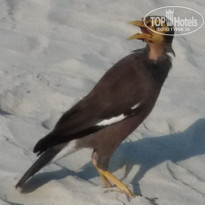 фото из отзыва ID 1723258