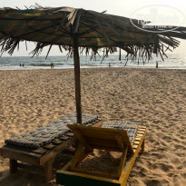 фото из отзыва ID 1723290