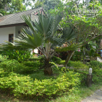 фото из отзыва ID 1723301