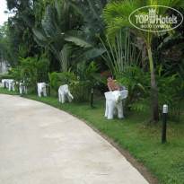 фото из отзыва ID 1723371