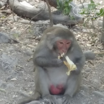 фото из отзыва ID 1723189