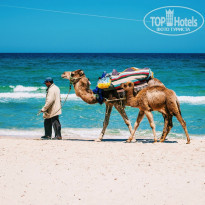 фото из отзыва ID 1723442