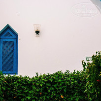 фото из отзыва ID 1723442