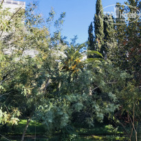 фото из отзыва ID 1723461