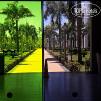 фото из отзыва ID 1723632