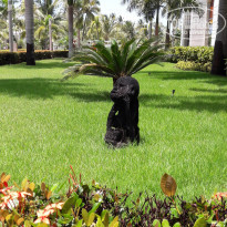 фото из отзыва ID 1723632