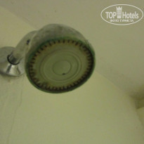 фото из отзыва ID 1723730