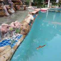 фото из отзыва ID 1723730