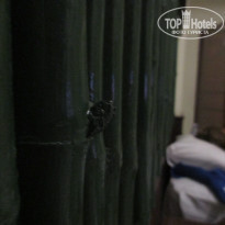 фото из отзыва ID 1723730