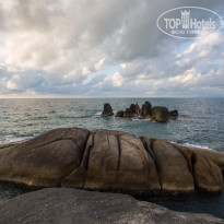 фото из отзыва ID 1723731