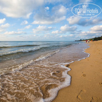 фото из отзыва ID 1723731