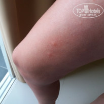 фото из отзыва ID 1723927