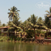 фото из отзыва ID 1724022