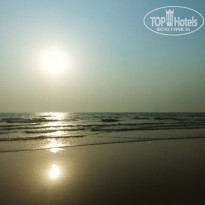 фото из отзыва ID 1724022