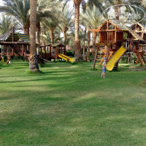 фото из отзыва ID 1724055