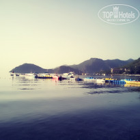 фото из отзыва ID 1724129