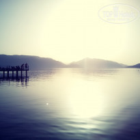 фото из отзыва ID 1724129