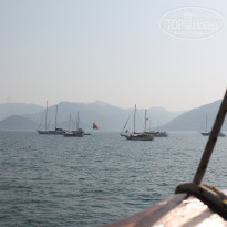 фото из отзыва ID 1724129