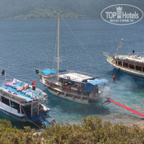 фото из отзыва ID 1724129