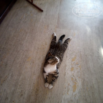 фото из отзыва ID 1724129