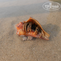 фото из отзыва ID 1724131