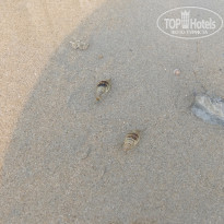 фото из отзыва ID 1724131