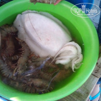 фото из отзыва ID 1724190