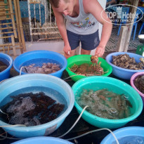 фото из отзыва ID 1724190