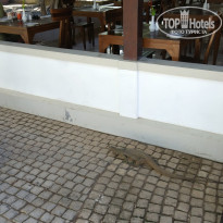 фото из отзыва ID 1724222