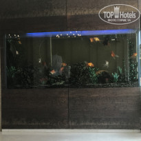 фото из отзыва ID 1724298