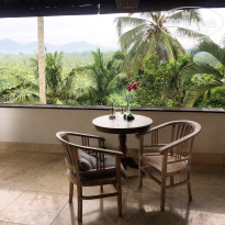 фото из отзыва ID 1724307