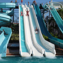 фото из отзыва ID 1724282