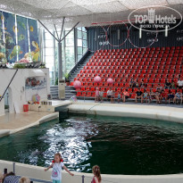 фото из отзыва ID 1724332