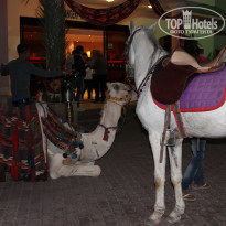 фото из отзыва ID 1724340