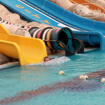 фото из отзыва ID 1724340