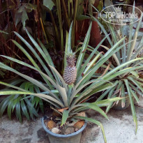 фото из отзыва ID 1724430