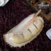 фото из отзыва ID 1724430