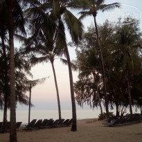 фото из отзыва ID 1724430