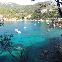 фото из отзыва ID 1724499