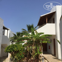 фото из отзыва ID 1724551