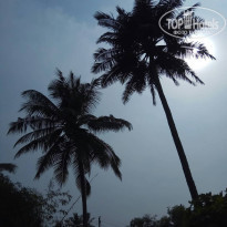 фото из отзыва ID 1724572