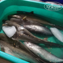 фото из отзыва ID 1724572