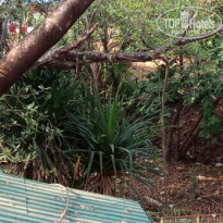 фото из отзыва ID 1724572