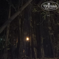 фото из отзыва ID 1724572