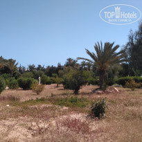 фото из отзыва ID 1724711