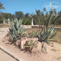 фото из отзыва ID 1724711